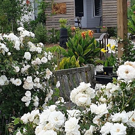 Tui Cottage Kerikeri Εξωτερικό φωτογραφία